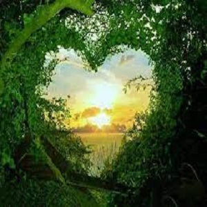 Natureza2