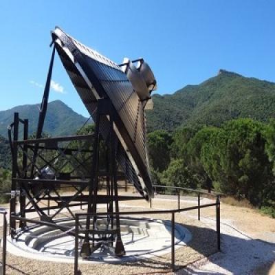 Pirelioforo-5.jpg
