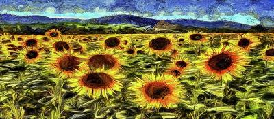 Sunflower-Vincent-van-Gogh.jpg