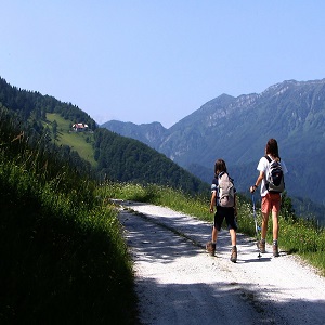 long walk 1393909