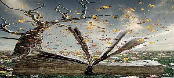 LIVROS2